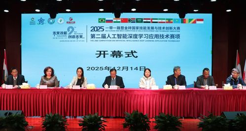 技能交融 創(chuàng)新引領(lǐng)——2025一帶一路暨金磚國(guó)家技能發(fā)展與技術(shù)創(chuàng)新大賽在桐城師專舉辦，技術(shù)服務(wù)賦能未來(lái)